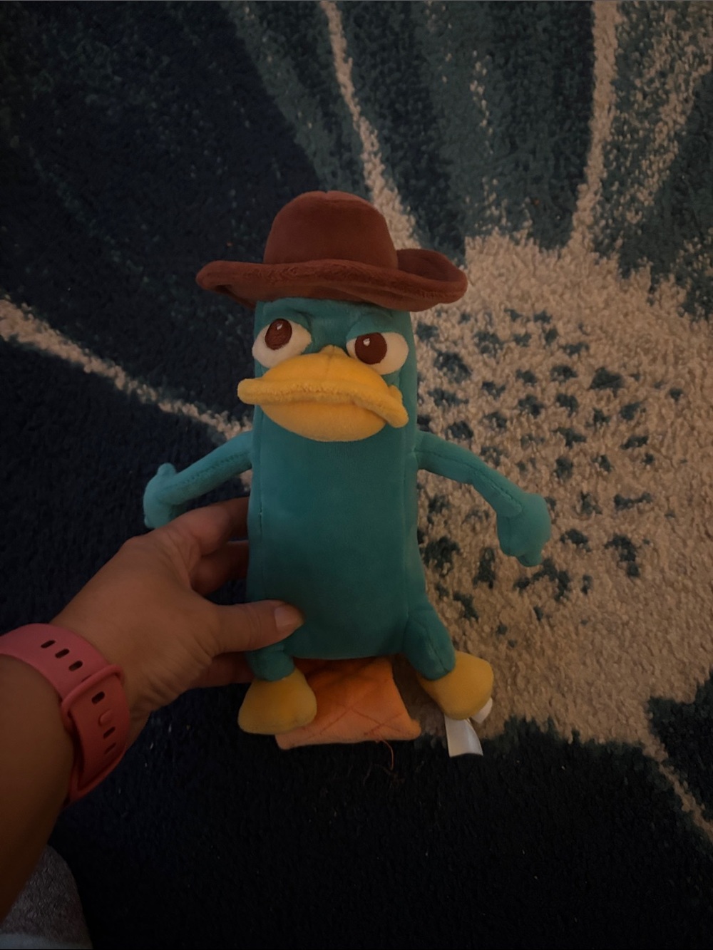 Perry the  Platypus Toy with Brown Hat - Pets Bird Accessory